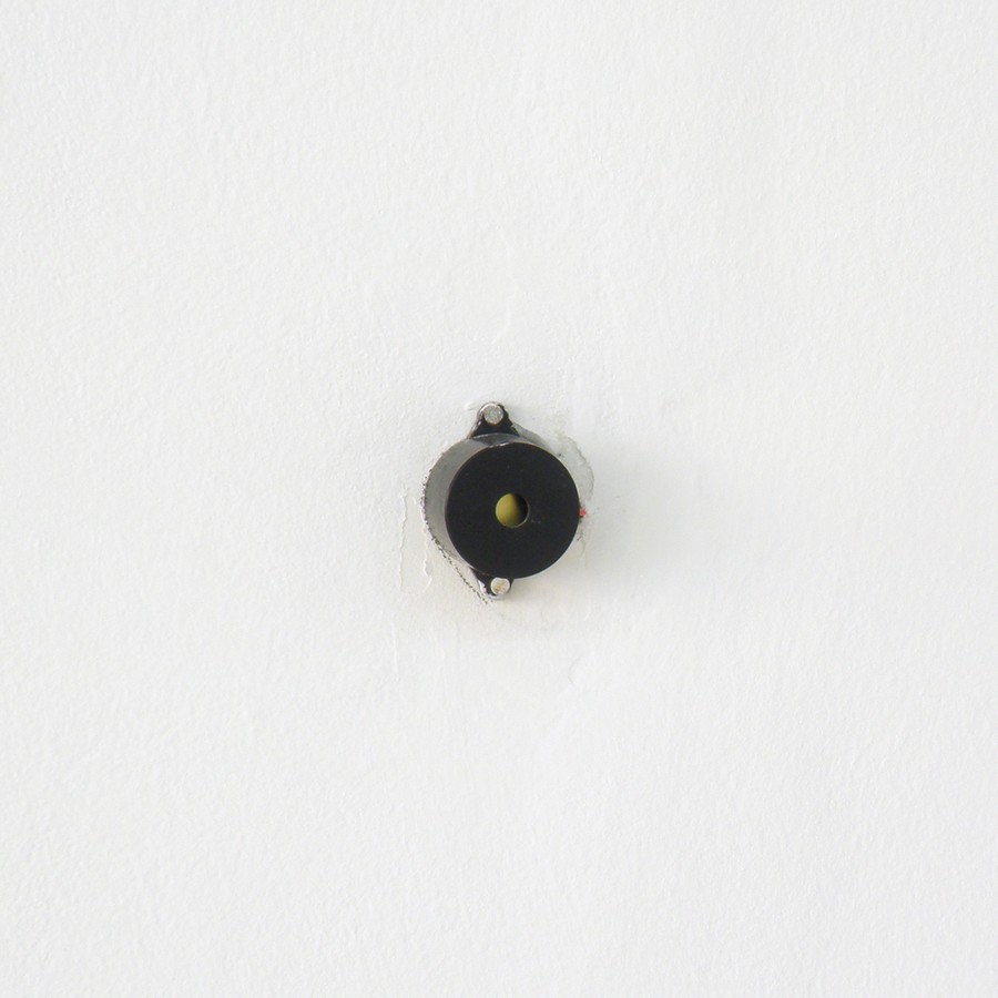 Bipers - détail, 2015