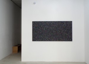 Bingo, SNAP 2015 Vue de l'exposition individuelle à la galerie Snap, Lyon, 2015.