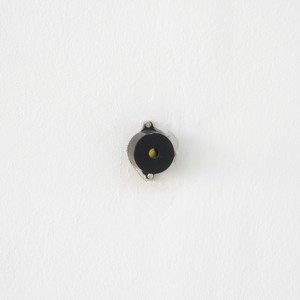 Bipers - détail, 2015
