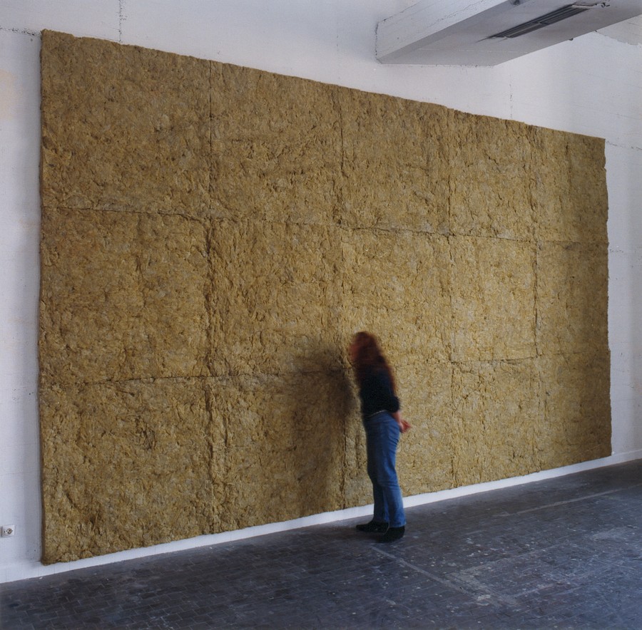Laine de roche, 1990-1991