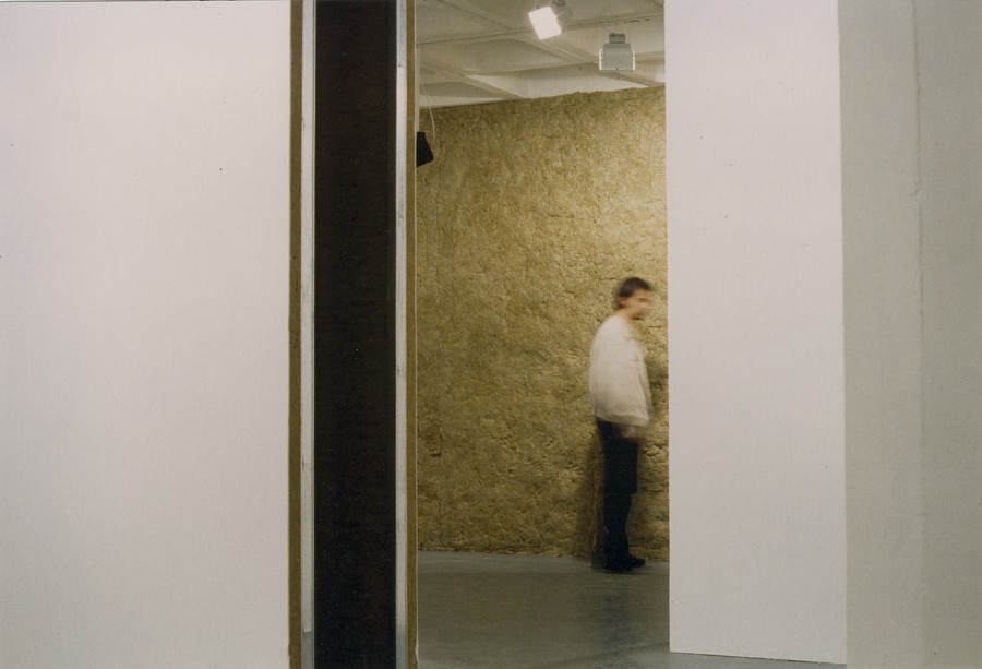 Travail d'exposition (...) – vue partielle, 1995