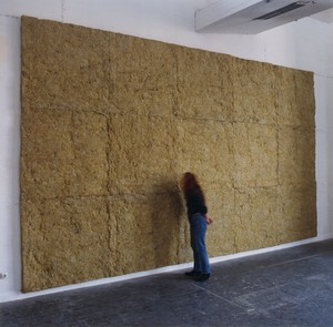Laine de roche, 1990-1991