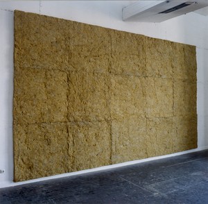 Laine de roche, 1990-1991