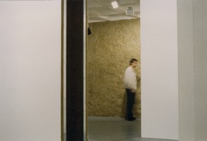 Travail d'exposition (...) – vue partielle, 1995