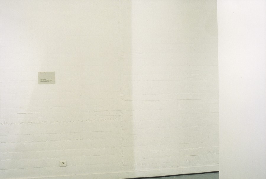 Travail d'exposition (vue de l'entrée), 1995