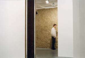 Travail d'exposition - vue partielle, 1995