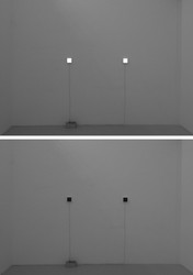 sans titre (double), 2011