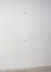 Bipers - détail, 2015