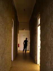 Laine de roche 3 - vue partielle, 1991-2006