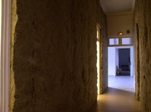 Laine de roche 3 - vue partielle, 1991-2006